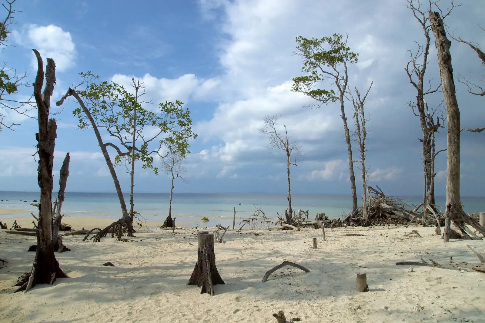 Island Havelock Island Elephant Beach Andamans Stock Photo