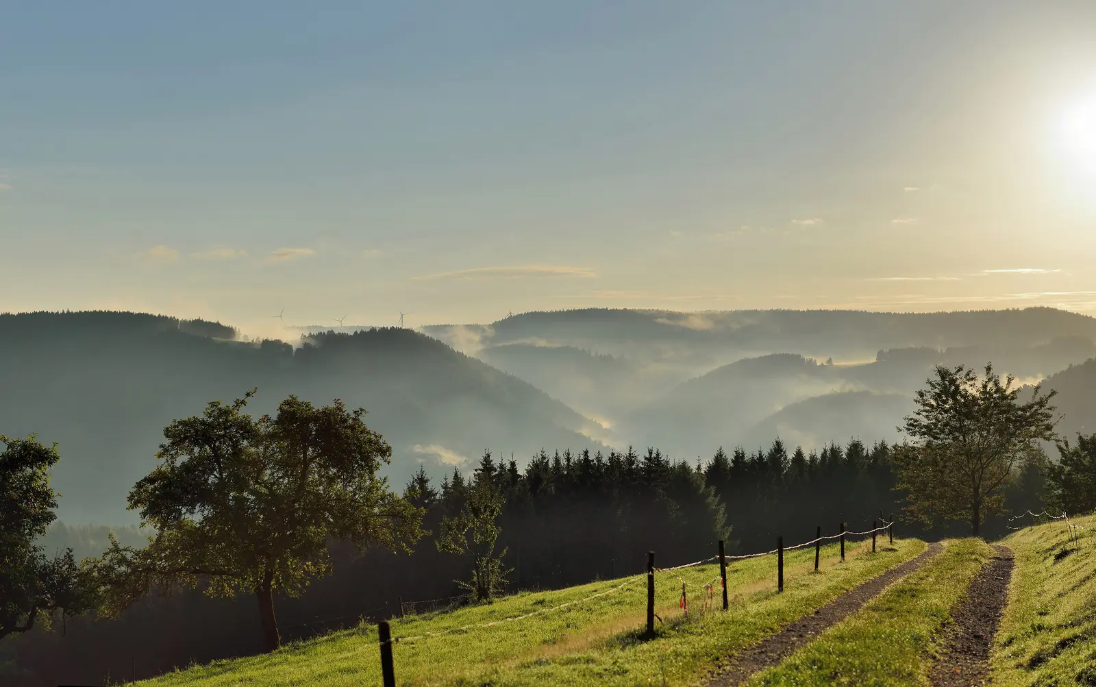 Forest Mist Schonach Paradies Sonnenaufgang Stock Photo