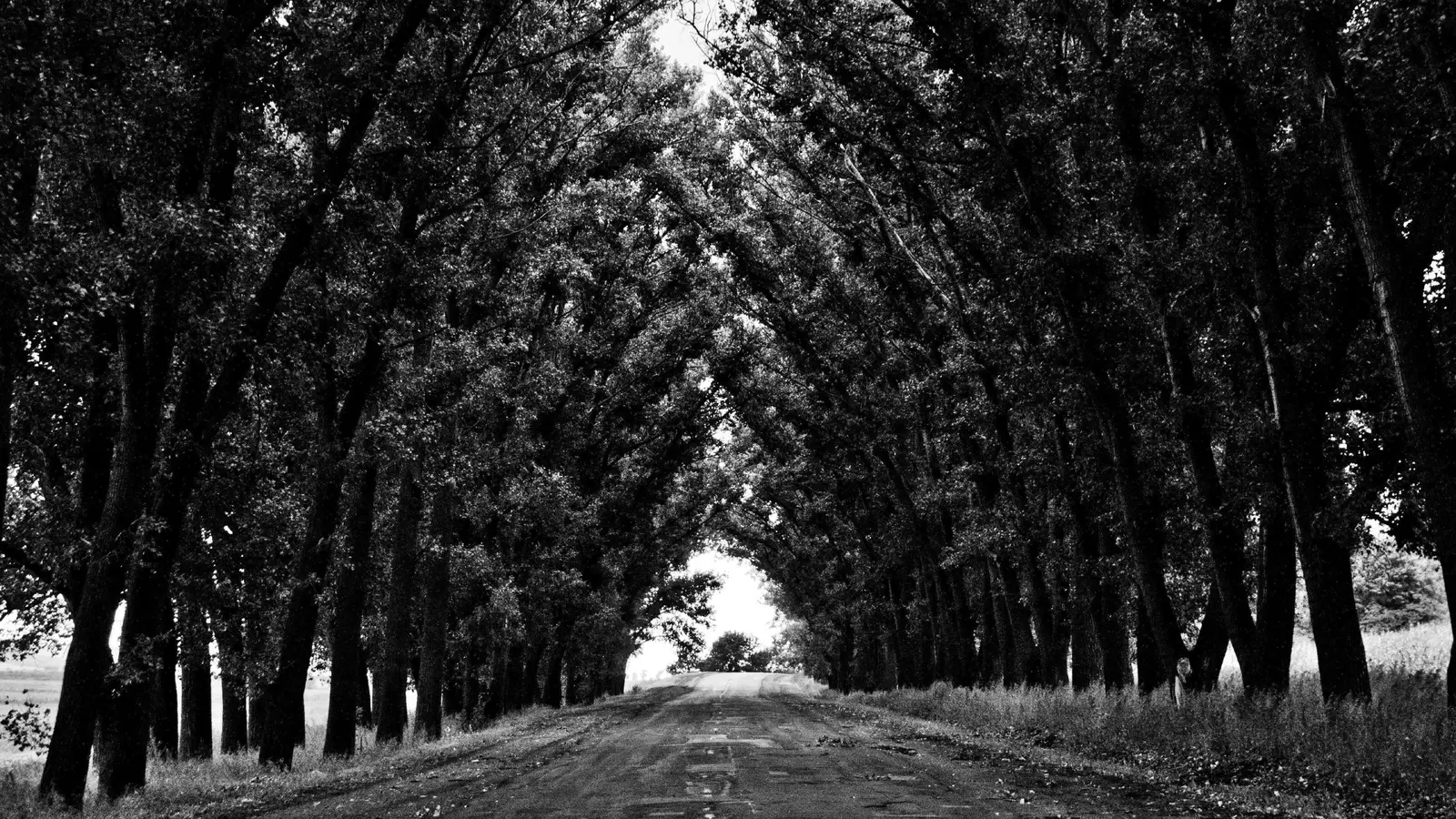 Dirt Road Nature Landscape Stock Photo