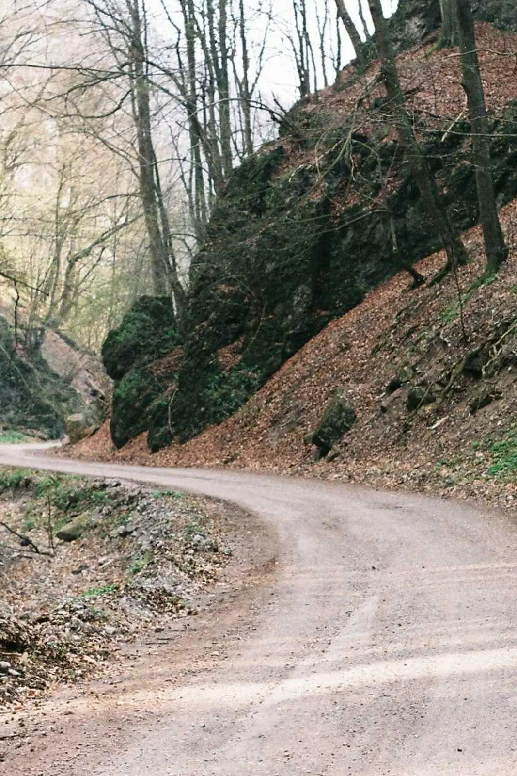 Dirt Road Nature Landscape Stock Photo