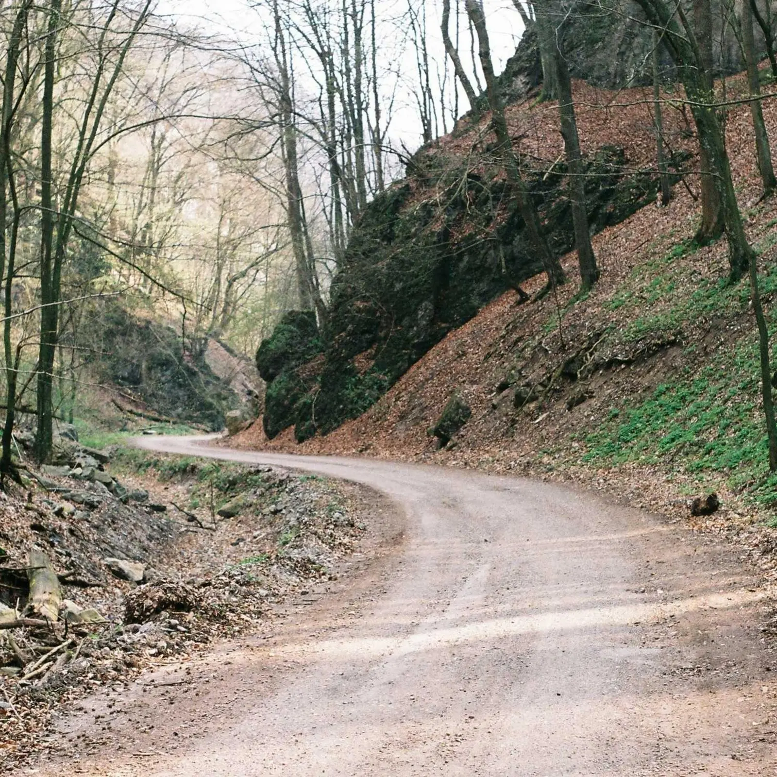 Dirt Road Nature Landscape Stock Photo